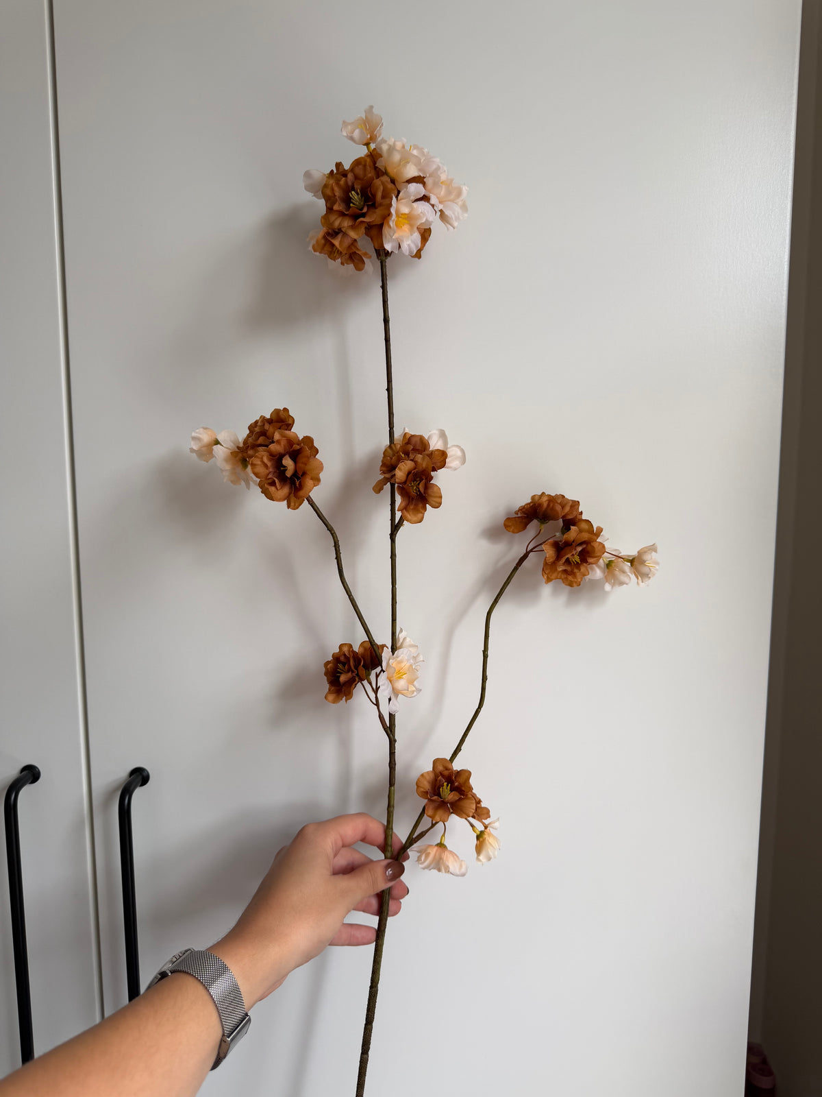 Bloesemtak mix beige/bruin