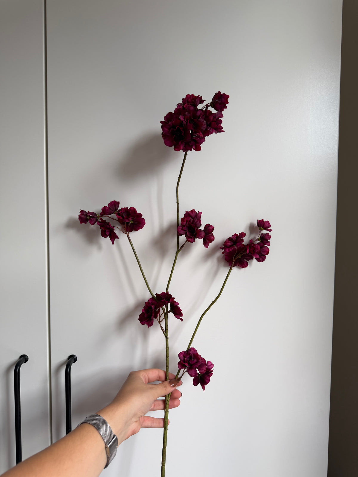 Bloesemtak aubergine